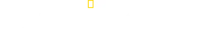 David Blaine Do Not Attempt
