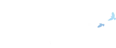 The White Olive Tree