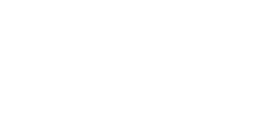 Mr. Crocket